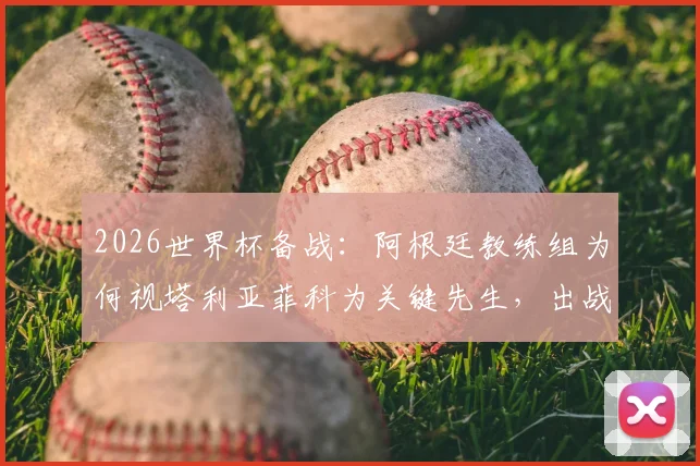 2026世界杯备战:阿根廷教练组为何视塔利亚菲科为关键先生,出战奥地利成最新焦点